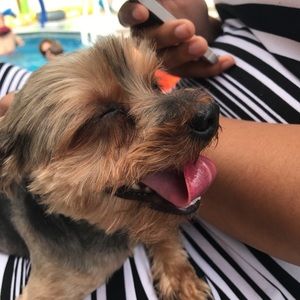 Meet your Posher, Kelly